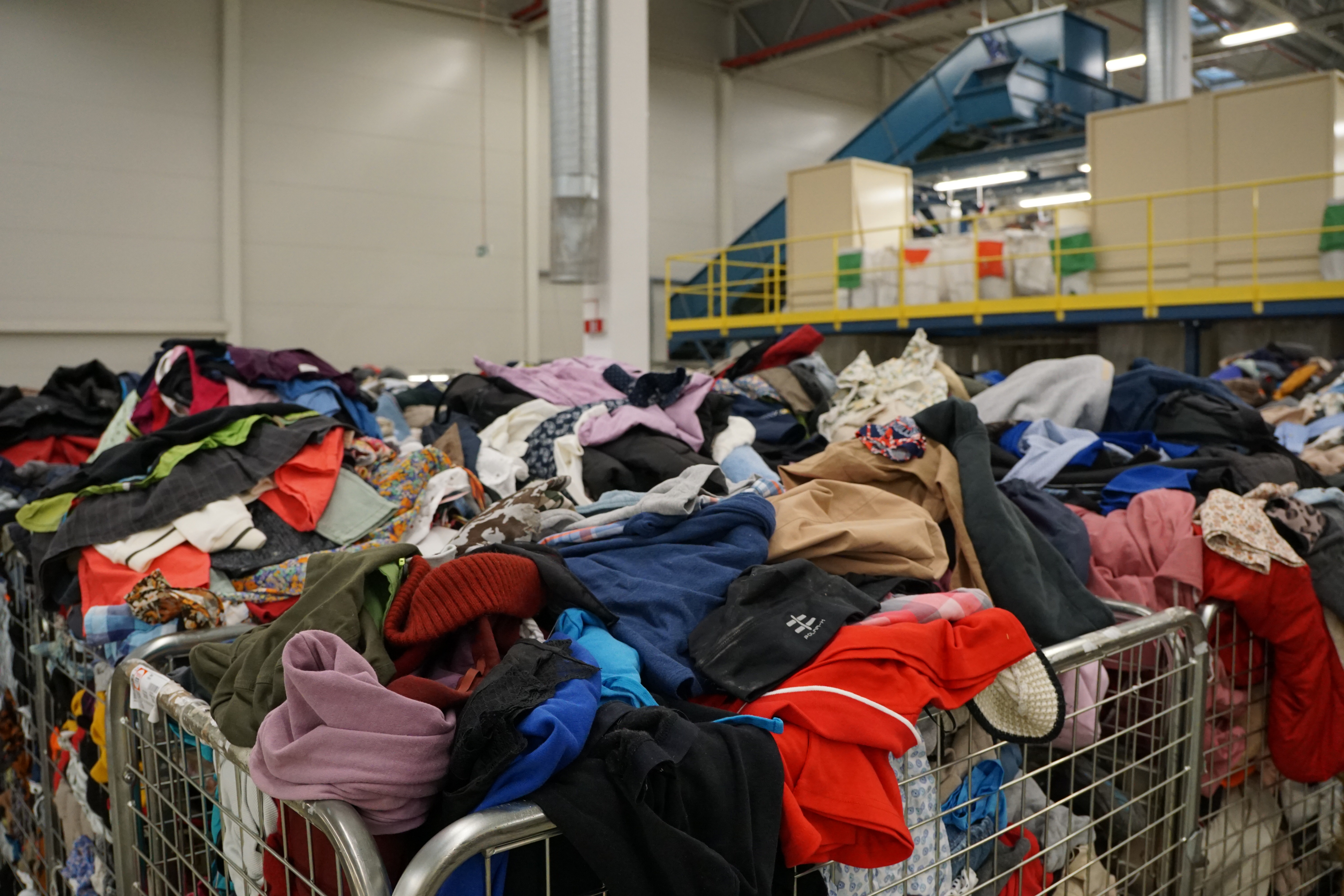 Stylized blue duotone portrait of a woman with long hair facing slightly backward